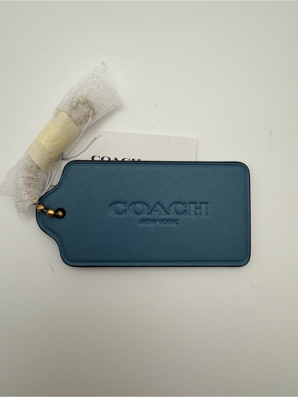 Coach CBA17 Large Leather Hangtag Bag Charm Light Mist Blue QWP Gold NWT 3.25 In